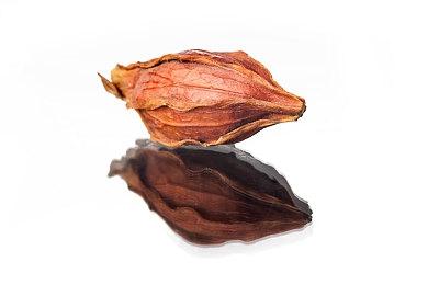 Fami通本周最新评分 全员白金《审判之逝》得分最高